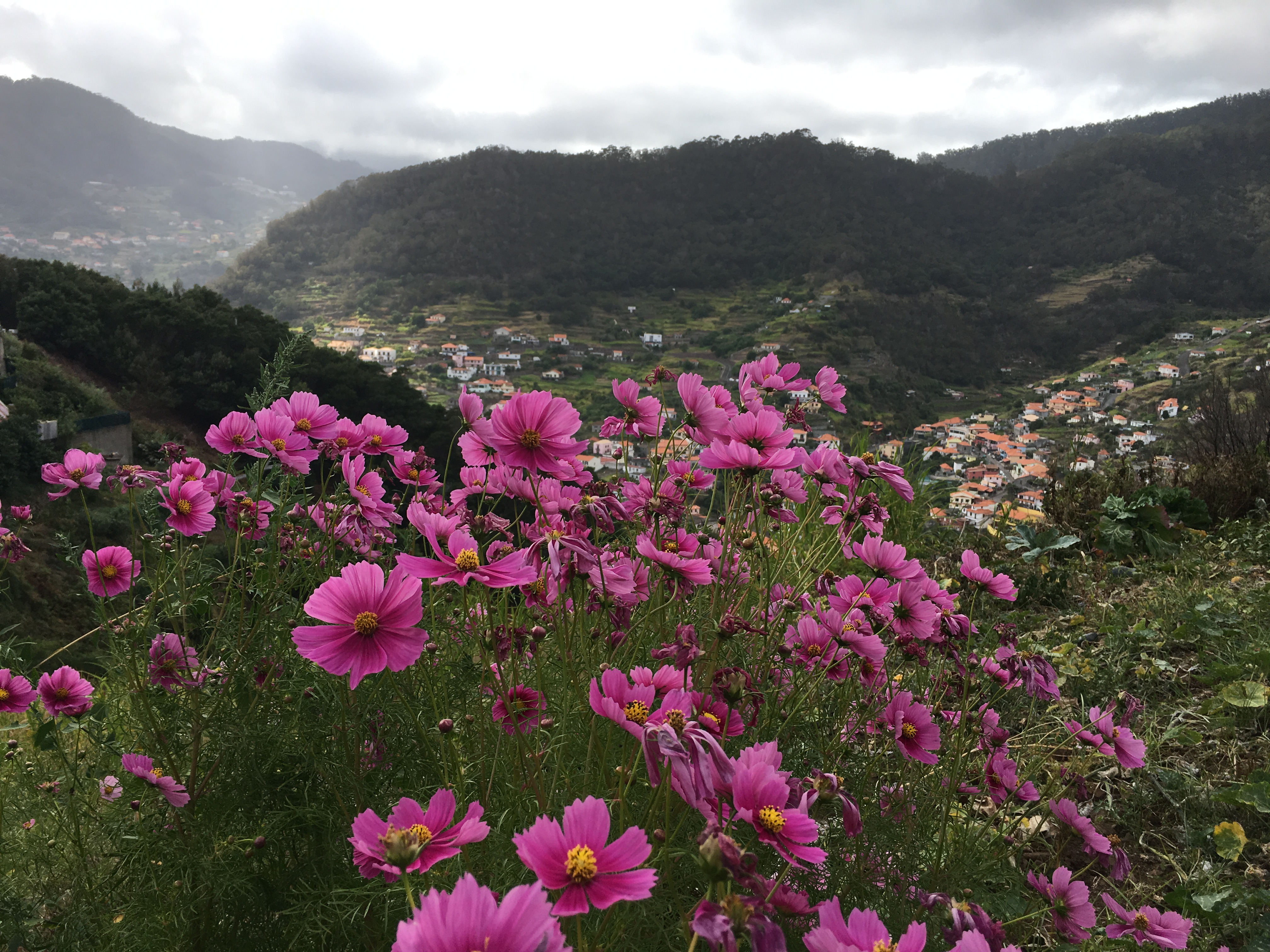 View of Machico Valley